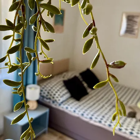 Ubytování v soukromí Chodowieckiego Goscinne