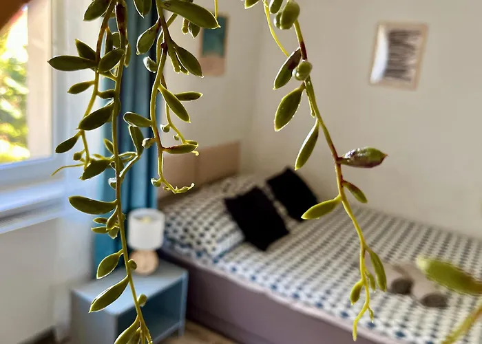 Habitación en casa particular Chodowieckiego Goscinne